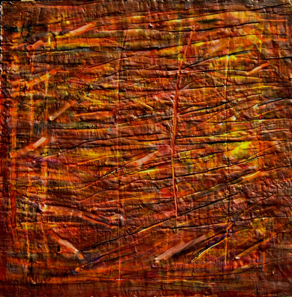 Click here to view The Amazon Series: Queimada  by Silvana LaCreta Ravena
