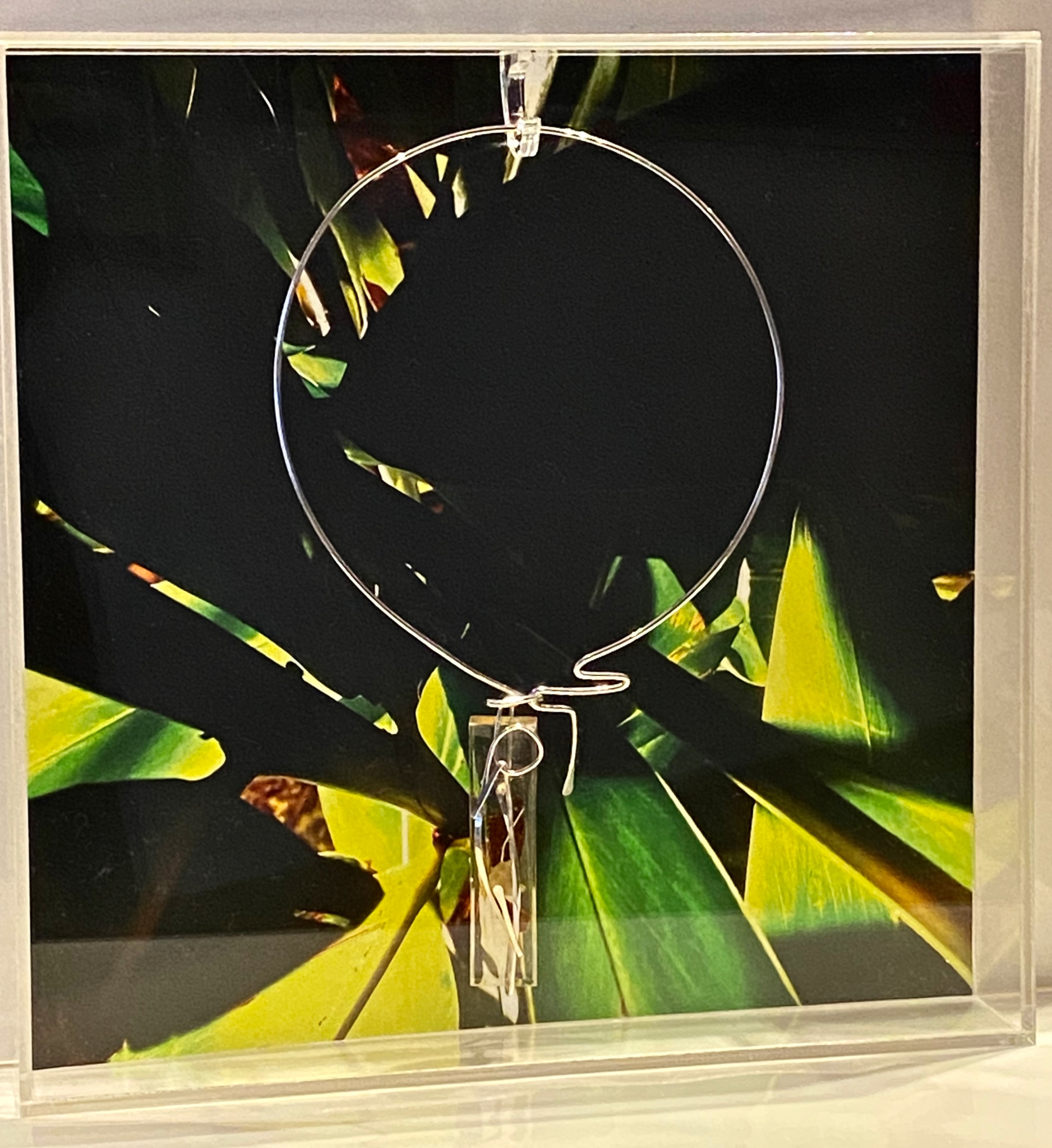 Click here to view Jewelry Box with Necklace by Silvana LaCreta Ravena
