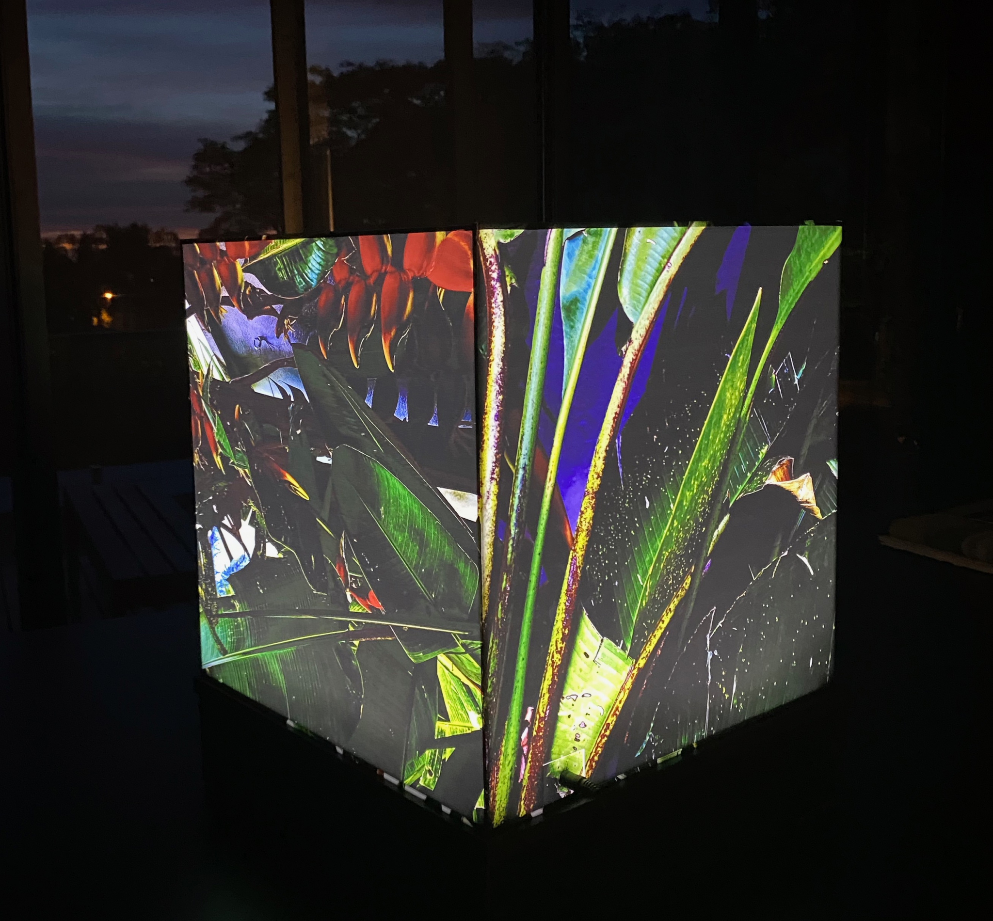 Click here to view      Luzes da Floresta: Cubos de Luz Inaugural by Silvana LaCreta Ravena