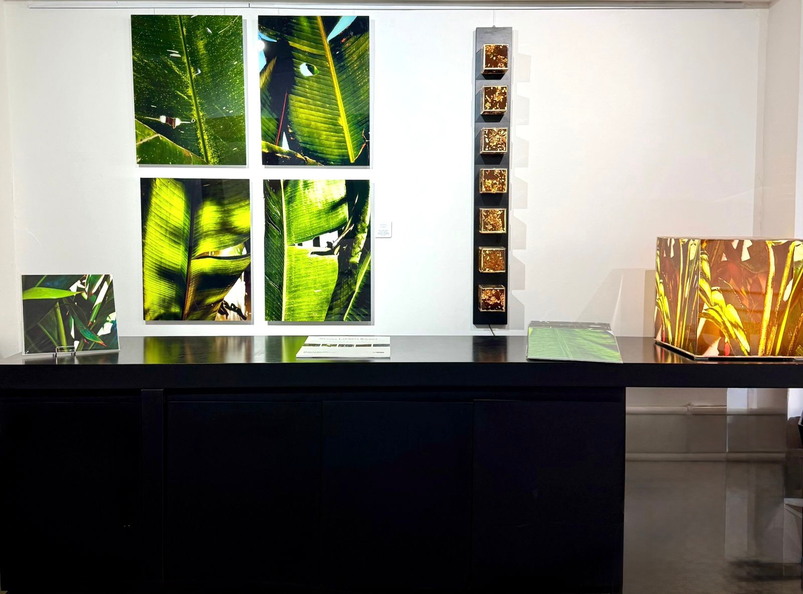 Click here to view    Art Faces e Luzes da Floresta by Silvana LaCreta Ravena