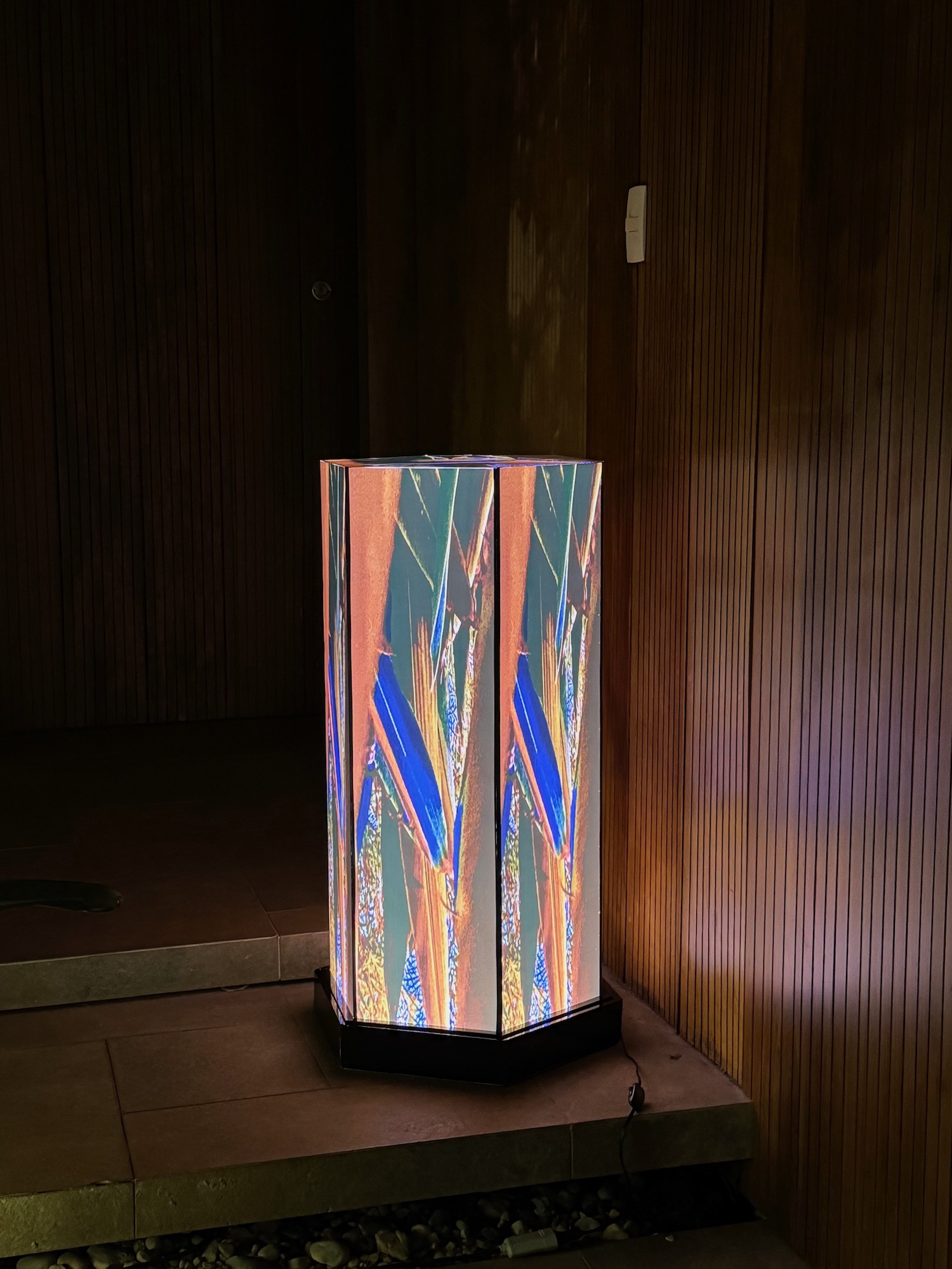 Click here to view    Art Luzes da Floresta Private Collection by Silvana LaCreta Ravena