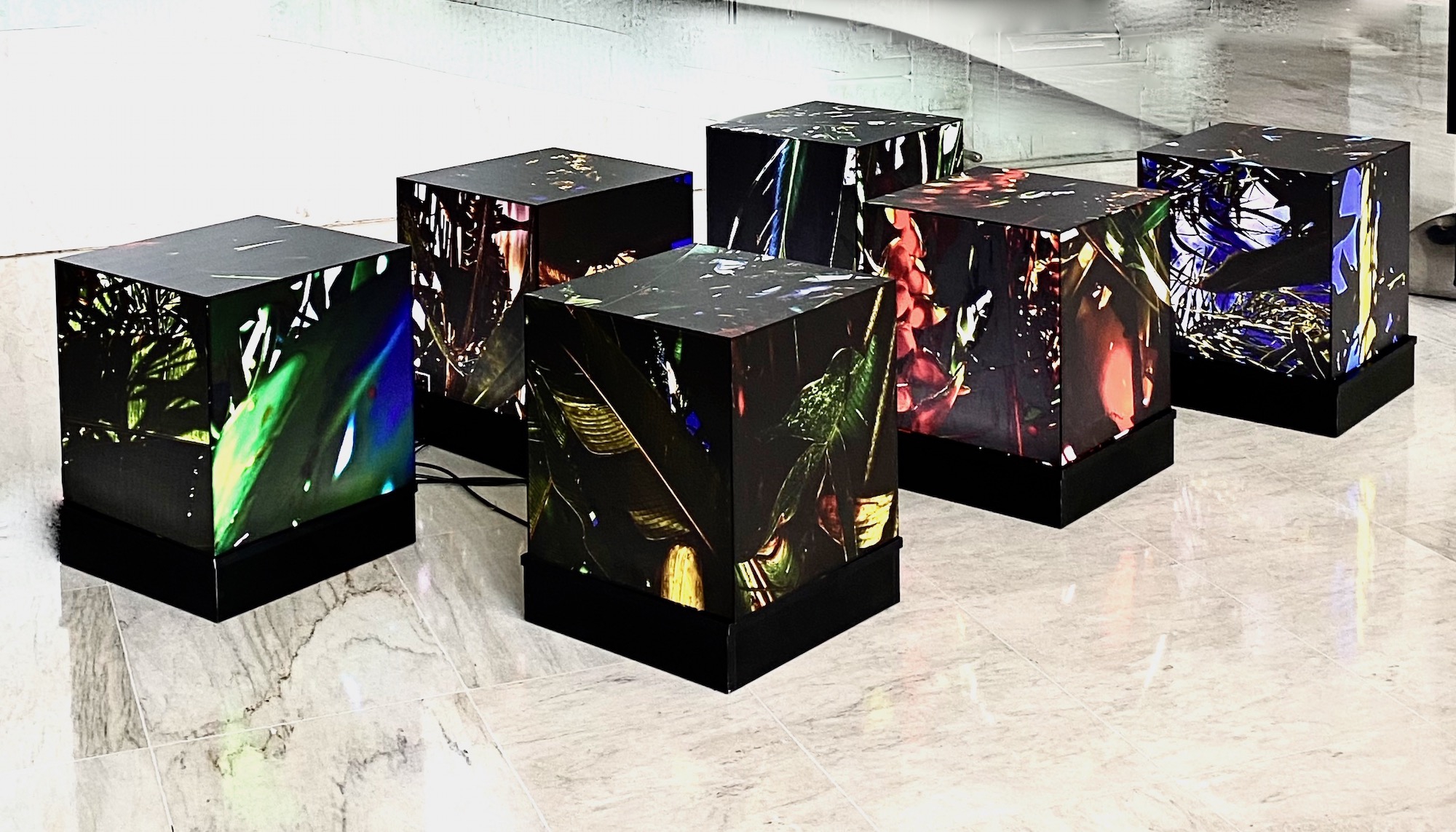 Click here to view Luzes da Floresta - Installation by Silvana LaCreta Ravena