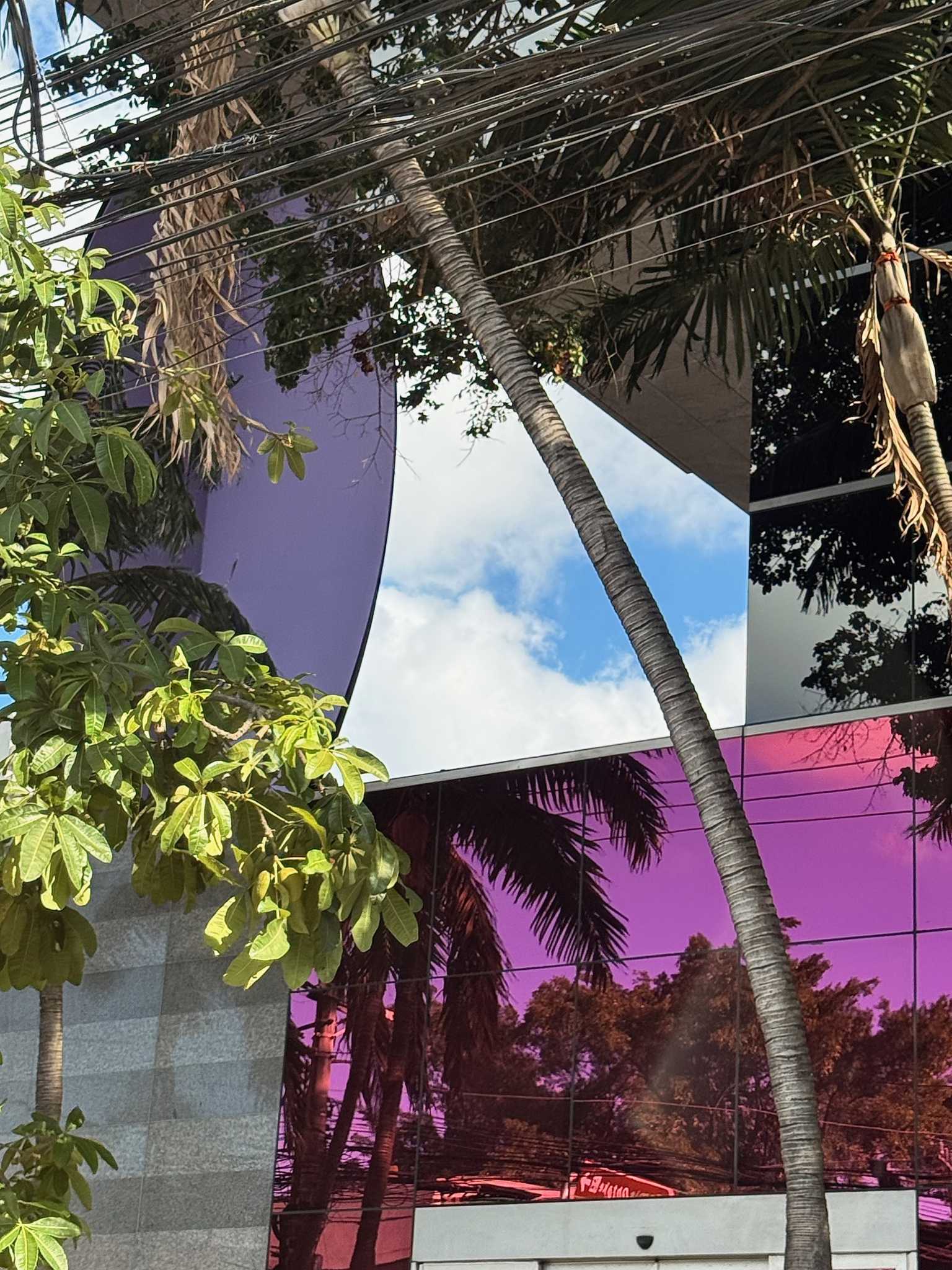 Click here to view Miami na Pedroso by Silvana LaCreta Ravena
